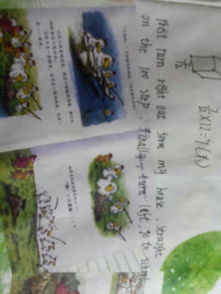 我們的校園作文描寫建國路