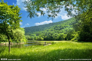 校園環(huán)境作文600字高中