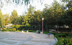 250字校園的早晨作文