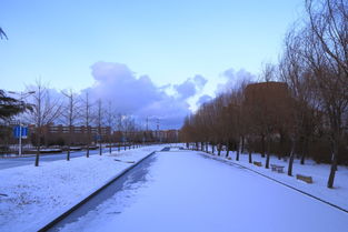 雪后校園的寂靜作文