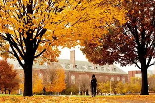 秋至校園作文500