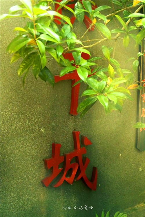 作文,春色,寫一篇,校園