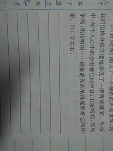 作文,描寫,夏天,校園