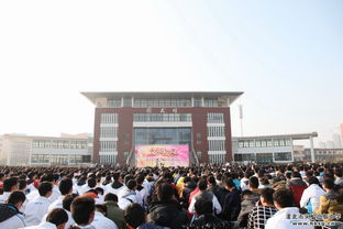 校園文明實(shí)踐心得體會(huì)作文