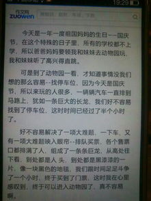 校園藝術(shù)節(jié)場(chǎng)面描寫作文600字,藝術(shù)節(jié)場(chǎng)面描寫作文400字,難忘的校園藝術(shù)節(jié)作文800字