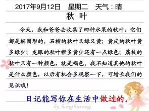 作文,同學(xué),校園,介紹