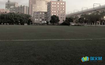 校園的操場(chǎng)700字作文