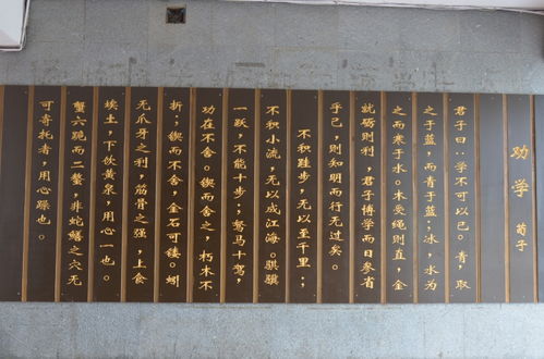 美麗校園作文移步換景350字