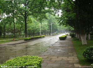 關(guān)于雨中校園作文的開頭