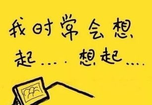 校園的記憶作文350字