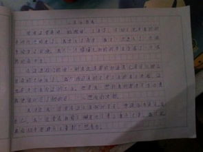 回憶校園抒情作文