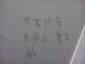 夏天的校園作文3百字