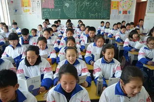 作文校園集體活動(dòng)接力賽