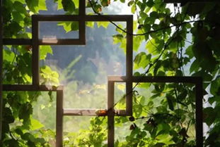 作文,窗外,風(fēng)景,校園