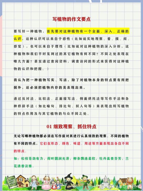 寫美麗的校園的作文,如何寫美麗的校園作文,美麗的校園寫教學(xué)樓的作文