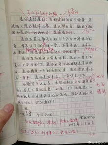 初入校園作文,校園作文800字初中,校園作文600字初中寫事