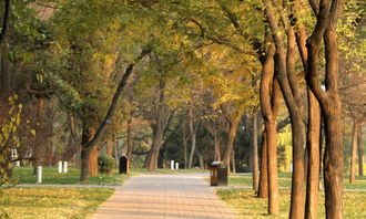 愛在校園話題作文600字左右