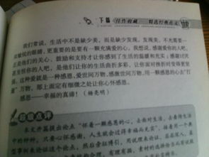 以愛心點(diǎn)燃校園為主題的作文