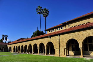 作文,大學(xué)校園,美麗