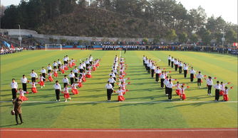 校園文體周作文600字以上,校園的一周作文,校園值周作文