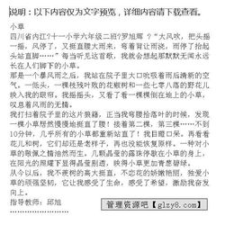 我是,作文,校園