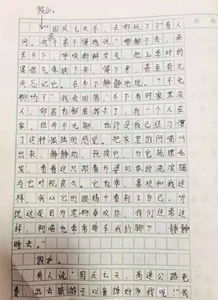 國(guó)慶的校園作文