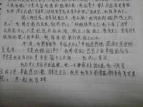 描寫(xiě)校園的作文100字,描寫(xiě)校園籃球場(chǎng)的作文100字,描寫(xiě)校園場(chǎng)景的作文100字