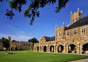 美麗的大學(xué)校園作文300字左右,校園真美麗作文300字,校園真美麗的作文400字