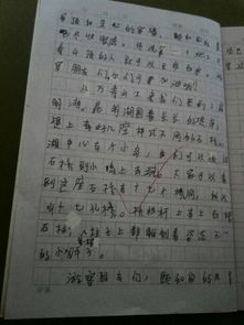 游的作文400字寫校園