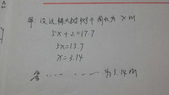 寫校園里的大樹像士兵作文