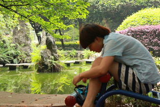 校園應想作文700