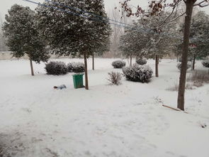 校園里堆雪人學(xué)生作文