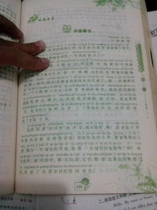 作文校園里的景色高中作文600字