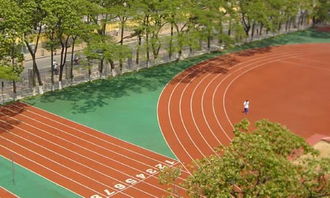 校園風影線作文