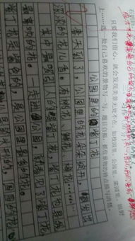 作文,四級,美麗,校園