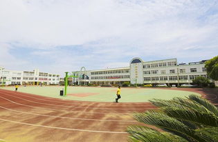 寫北侖區(qū)實驗小學(xué)校園作文