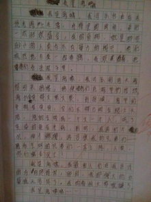 校園的銀杏樹200字作文三級