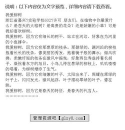 作文,柳樹,初中,校園