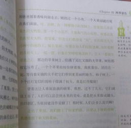 校園冬天的景色作文300字,校園的一處景色作文300字,校園花壇的景色作文300字