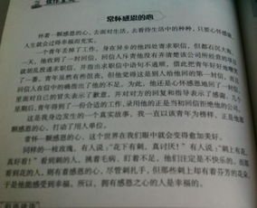 以校園是我們的樂園為主題的作文