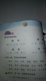 校園里的夏天作文300字,校園里的夏天作文怎么寫?400字,校園里的夏天作文500字