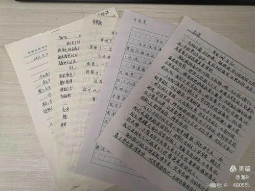 揚(yáng)帆,作文,起航,題目