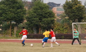 寫校園足球比賽的作文600字