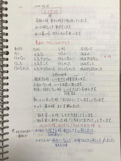 最美校園的作文,最美校園作文600字,最美校園人物作文