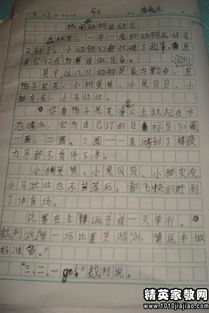 校園運動會作文550字