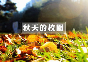 秋天的校園寫景500字作文
