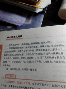 校園里的活動(dòng)作文300