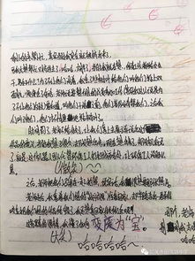 走進(jìn)校園教育大學(xué)作文