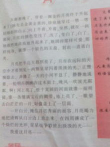 大學(xué)校園描景作文