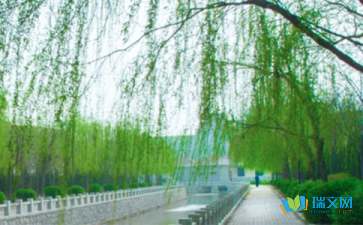 描寫春天柳樹的作文,春天柳樹樹枝發(fā)芽的作文,春天柳樹的作文300字